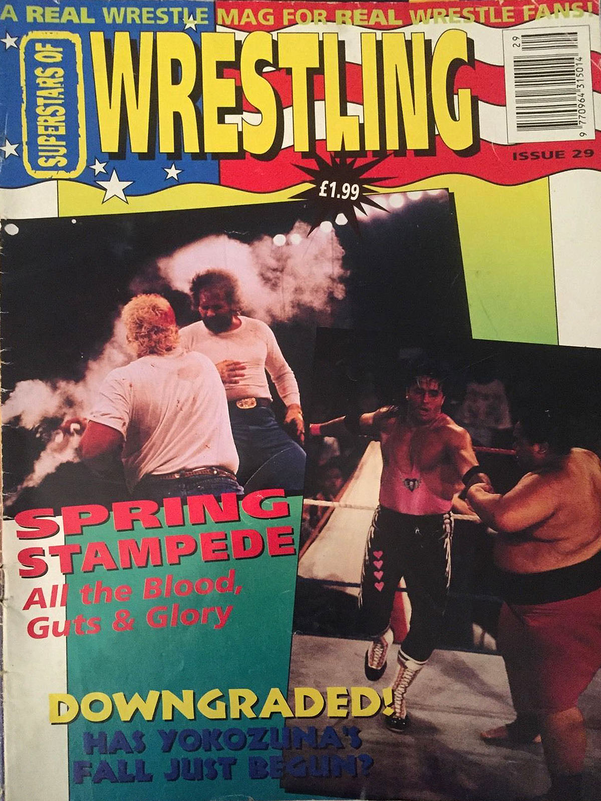 Superstars of Wrestling Volume 29 Magazine PWcatalog