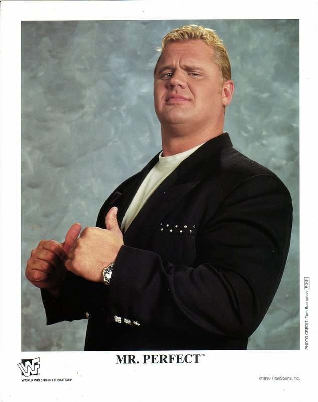 1996 Mr. Perfect P348 color PW Catalog