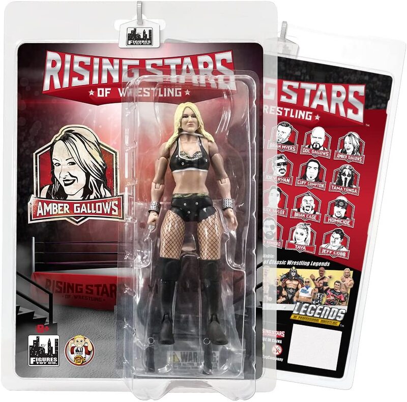 FTC Rising Stars of Wrestling Amber Gallows Action & Toy Figures PWcatalog