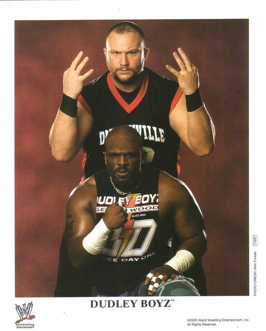2003 Dudley Boyz P829 Color