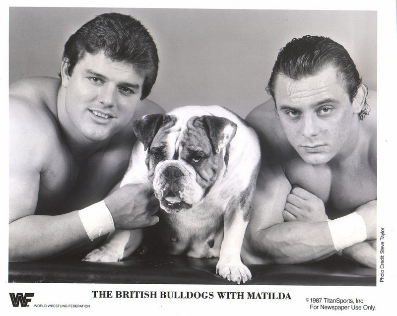 1987 British Bulldogs w/Matilda #2 PWcatalog