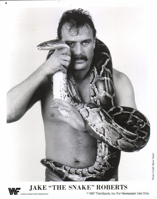 1987 Jake "The Snake" Roberts PWcatalog