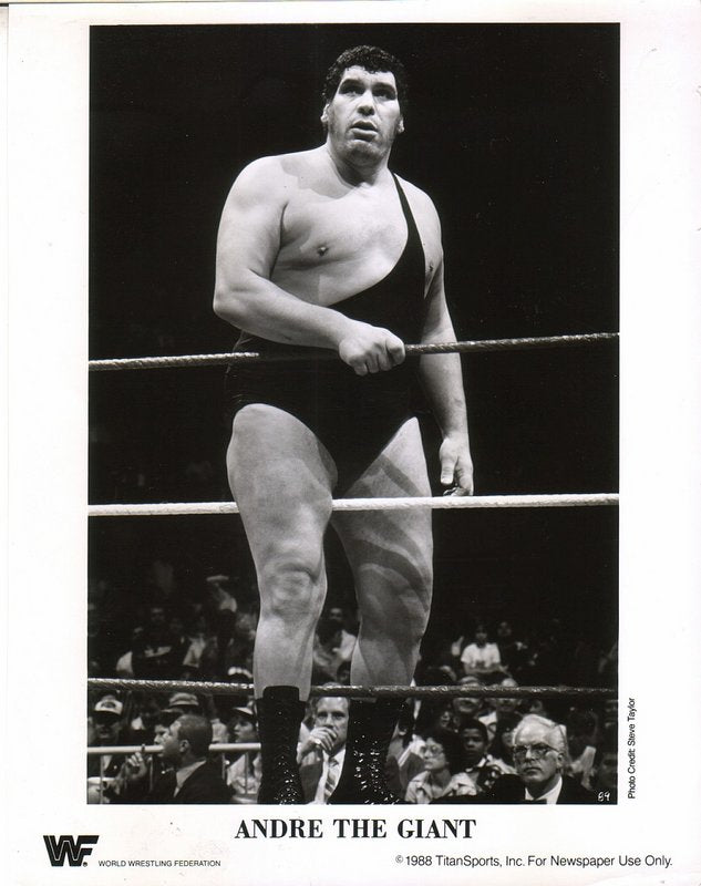 1988 Andre the Giant PWcatalog