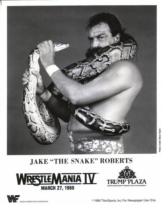 1988 Jake"The Snake" Roberts WM4