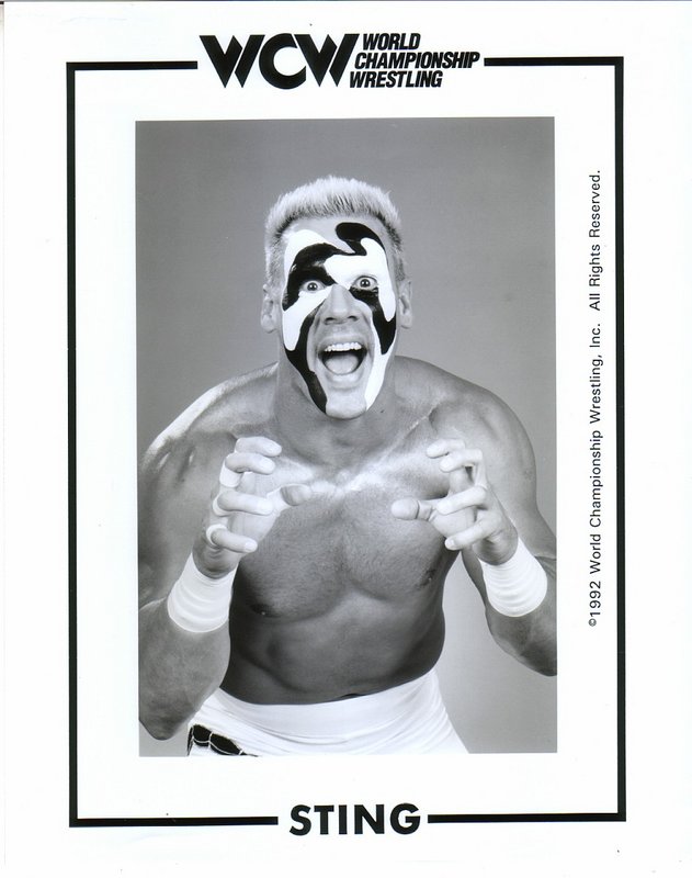WCW Sting PW Catalog
