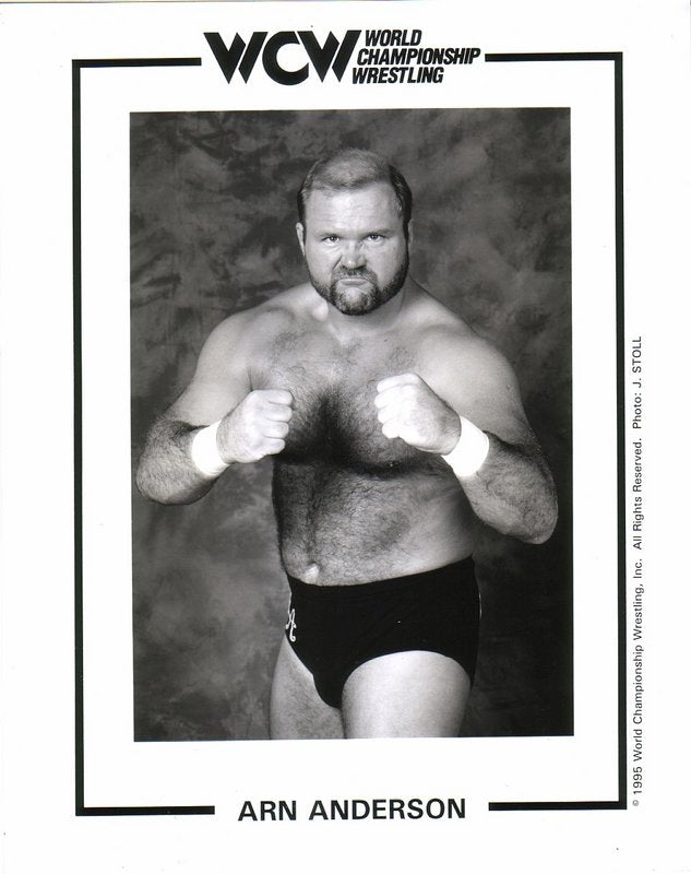 WCW Arn Anderson PW Catalog