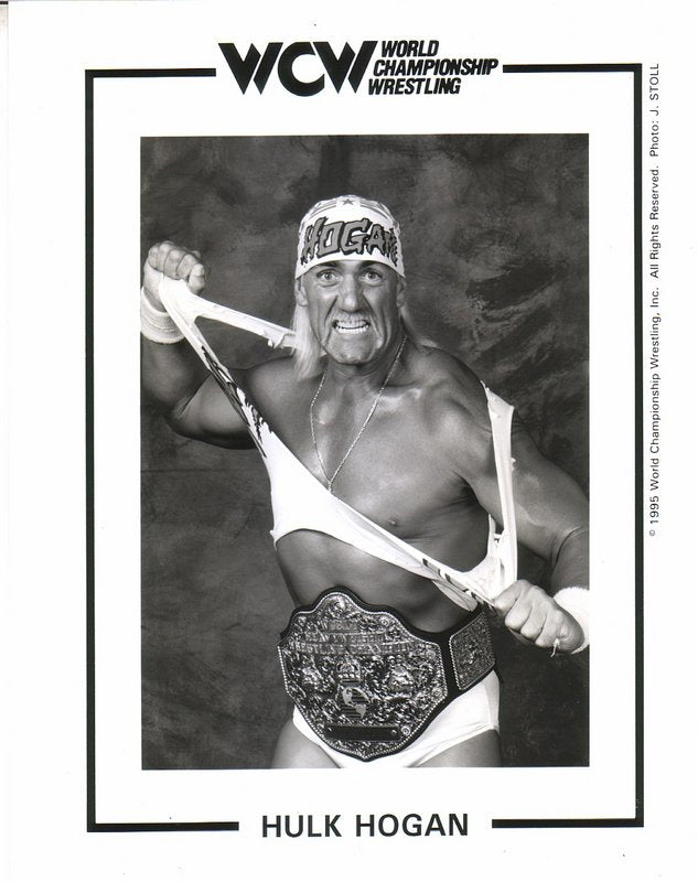 WCW CHAMPION Hulk Hogan PW Catalog