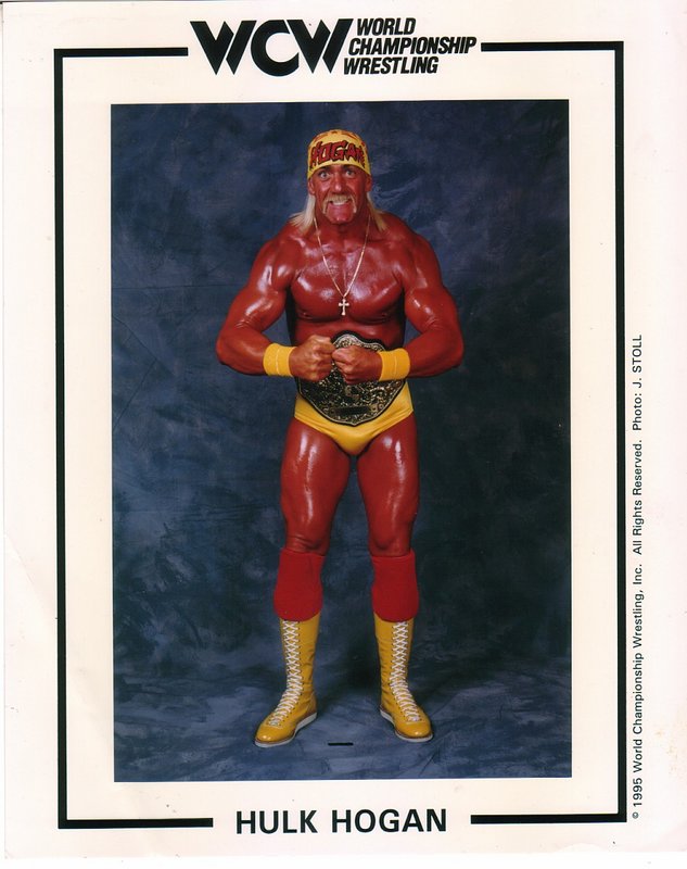WCW CHAMPION Hulk Hogan PW Catalog