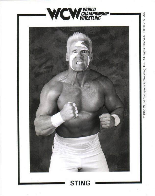 WCW Sting PW Catalog