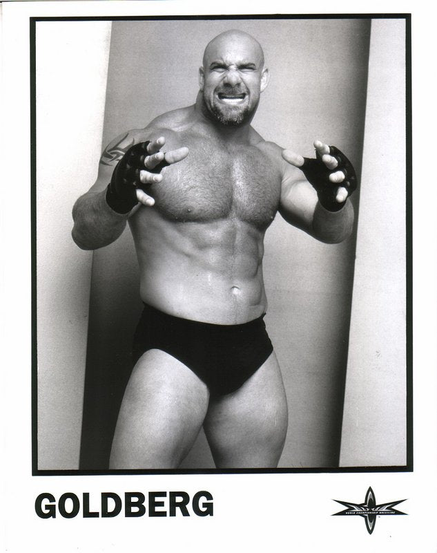 WCW Goldberg licensed PW Catalog