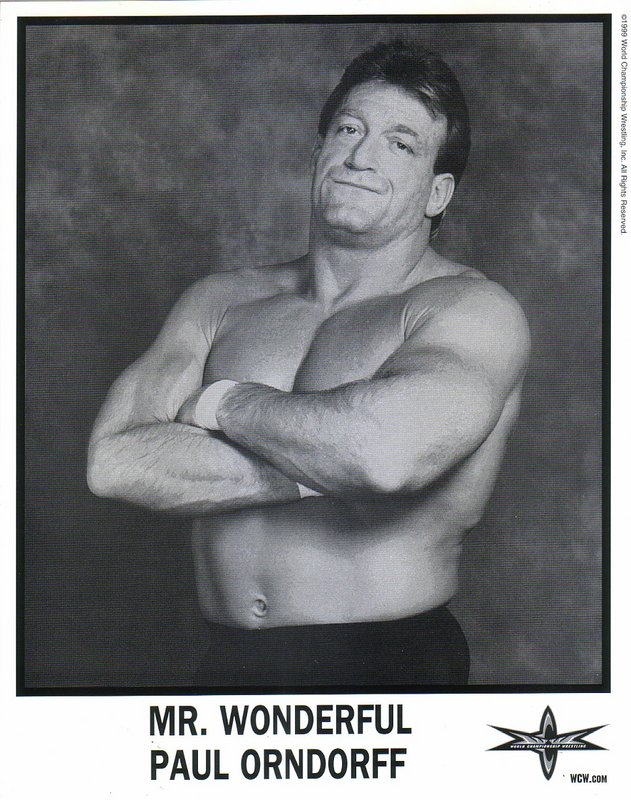 WCW Mr. Wonderful Paul Orndorff PW Catalog