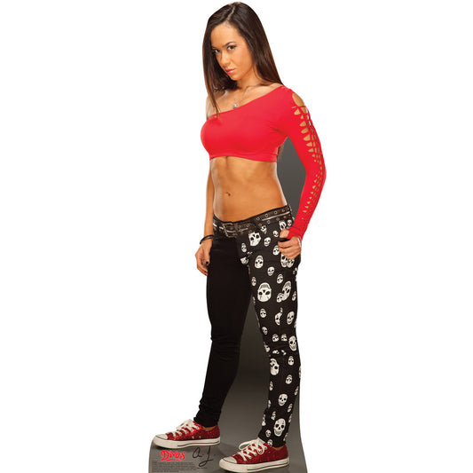 AJ Lee Standee Pwcatalog