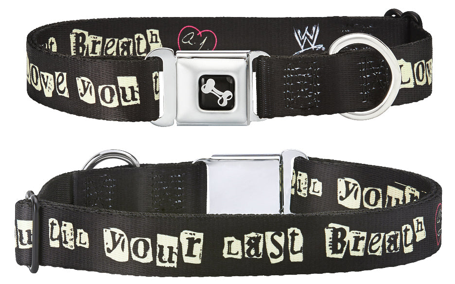 AJ Lee Till Your Last Breath Dog Collar Pwcatalog