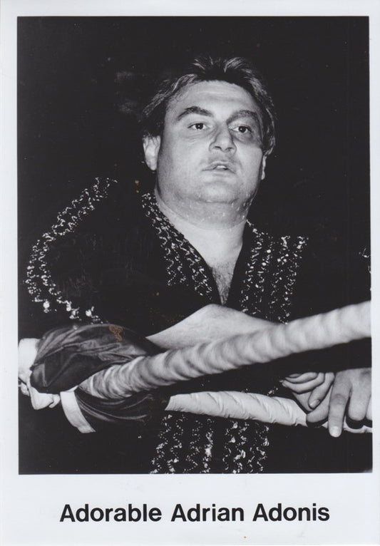 1988 AWA Adorable Adrian Adonis vintage 5x7 Promo Photo PWcatalog