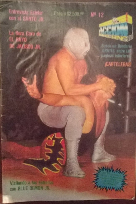 Accion En El Ring 12 Magazine PWcatalog