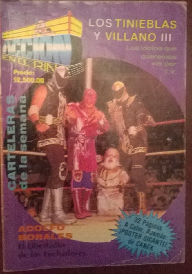Accion En El Ring 17 Magazine PWcatalog