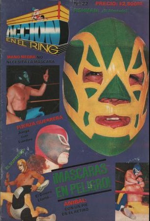 Accion En El Ring 22 Magazine PWcatalog