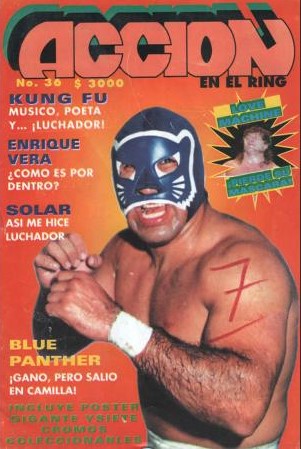 Accion En El Ring 36 Magazine PWcatalog