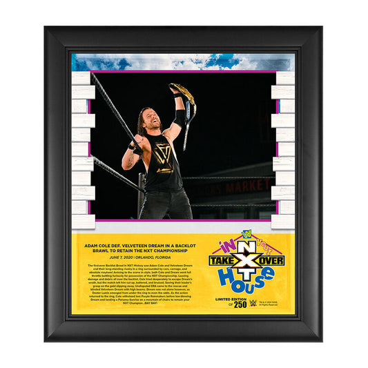 Adam Cole NXT TakeOver In Your House 2020 15 x 17 Limited Edition Plaque Pwcatalog