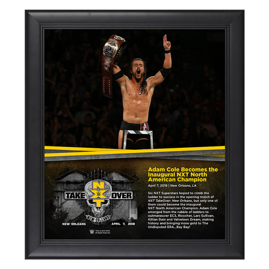 Adam Cole NXT TakeOver New Orleans 15 x 17 Framed Plaque Pwcatalog