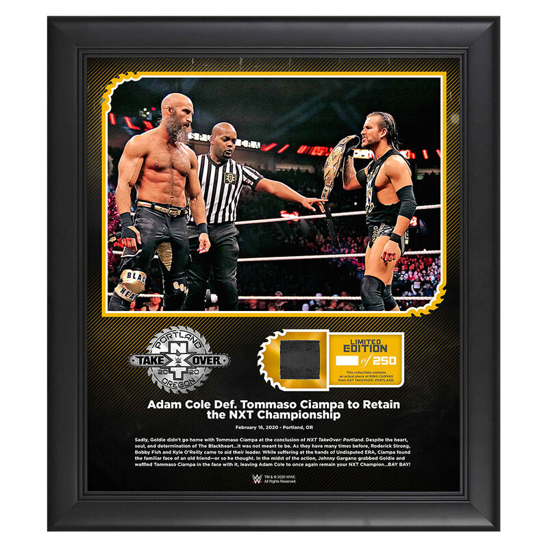 Adam Cole NXT TakeOver Portland 15 x 17 Limited Edition Plaque Pwcatalog