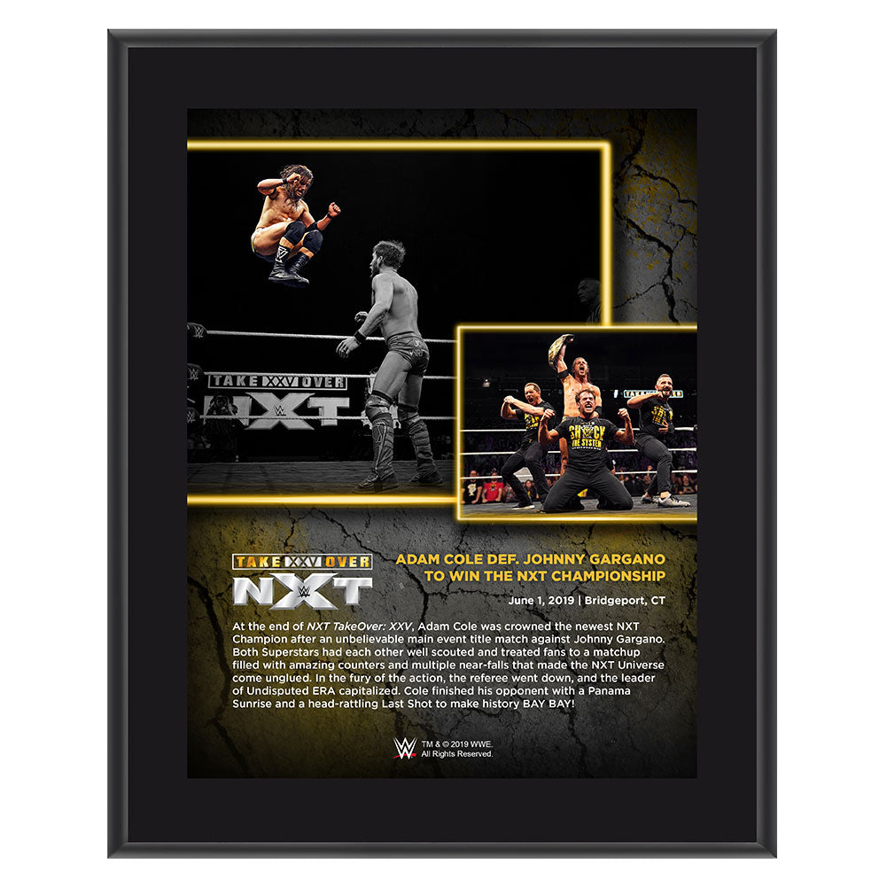 Adam Cole NXT TakeOver XXV 10 x 13 Commemorative Plaque Pwcatalog