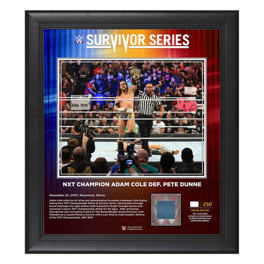 Adam Cole Survivor Series 2019 15x17 Limited Edition Plaque Pwcatalog