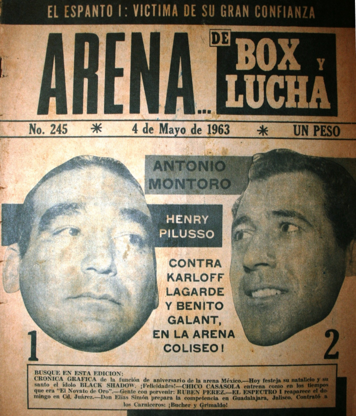 Arena de Box Y Lucha Volume 245 Magazine PWcatalog