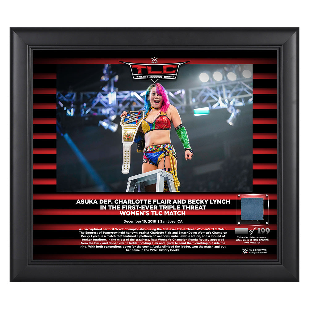 Asuka TLC 2018 15 x 17 Framed Plaque w Ring Canvas Pwcatalog