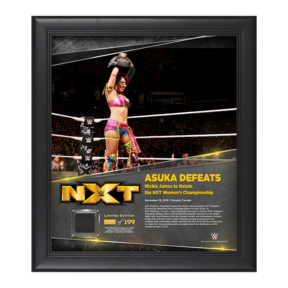 Asuka TakeOver Toronto 15 x 17 Framed Plaque w Ring Canvas Pwcatalog