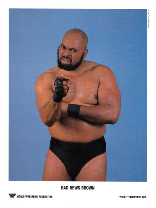 1988 Bad News Brown color PWcatalog