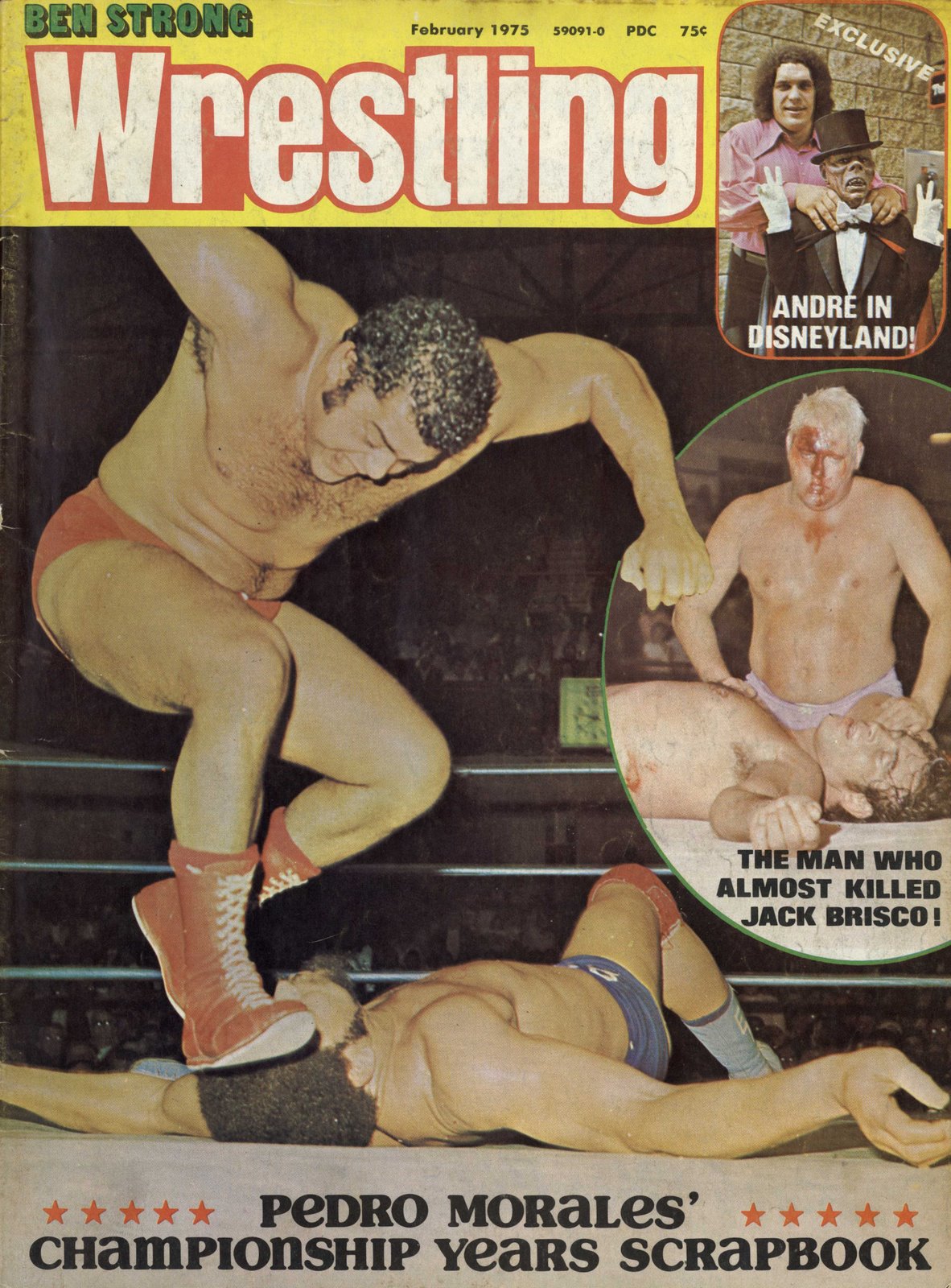 Ben Strong Wrestling Magazine PWcatalog