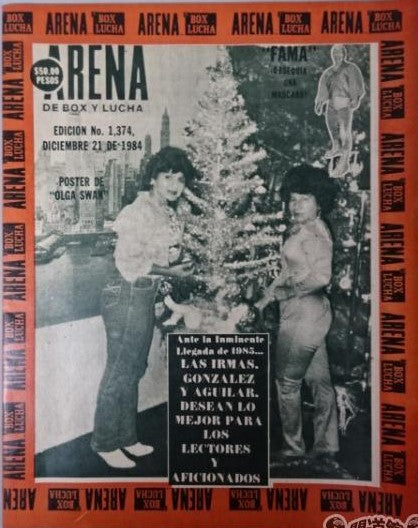 Box y Lucha 1374 Magazine PWcatalog