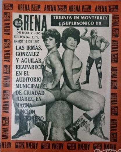 Box y Lucha 1377 Magazine PWcatalog