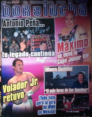 Box y Lucha 3189 Magazine PWcatalog