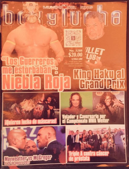 Box y Lucha 3288 Magazine PWcatalog
