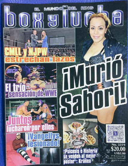 Box y Lucha 3319 Magazine PWcatalog