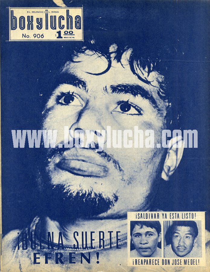 Box y Lucha 906 Magazine PWcatalog