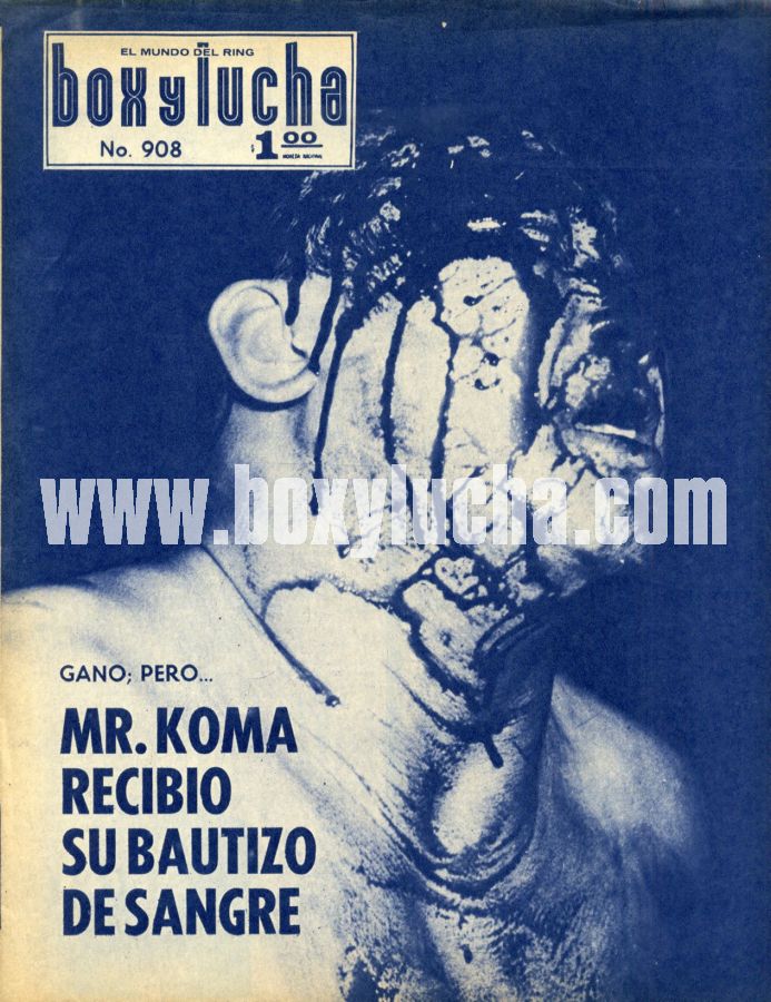 Box y Lucha 908 Magazine PWcatalog