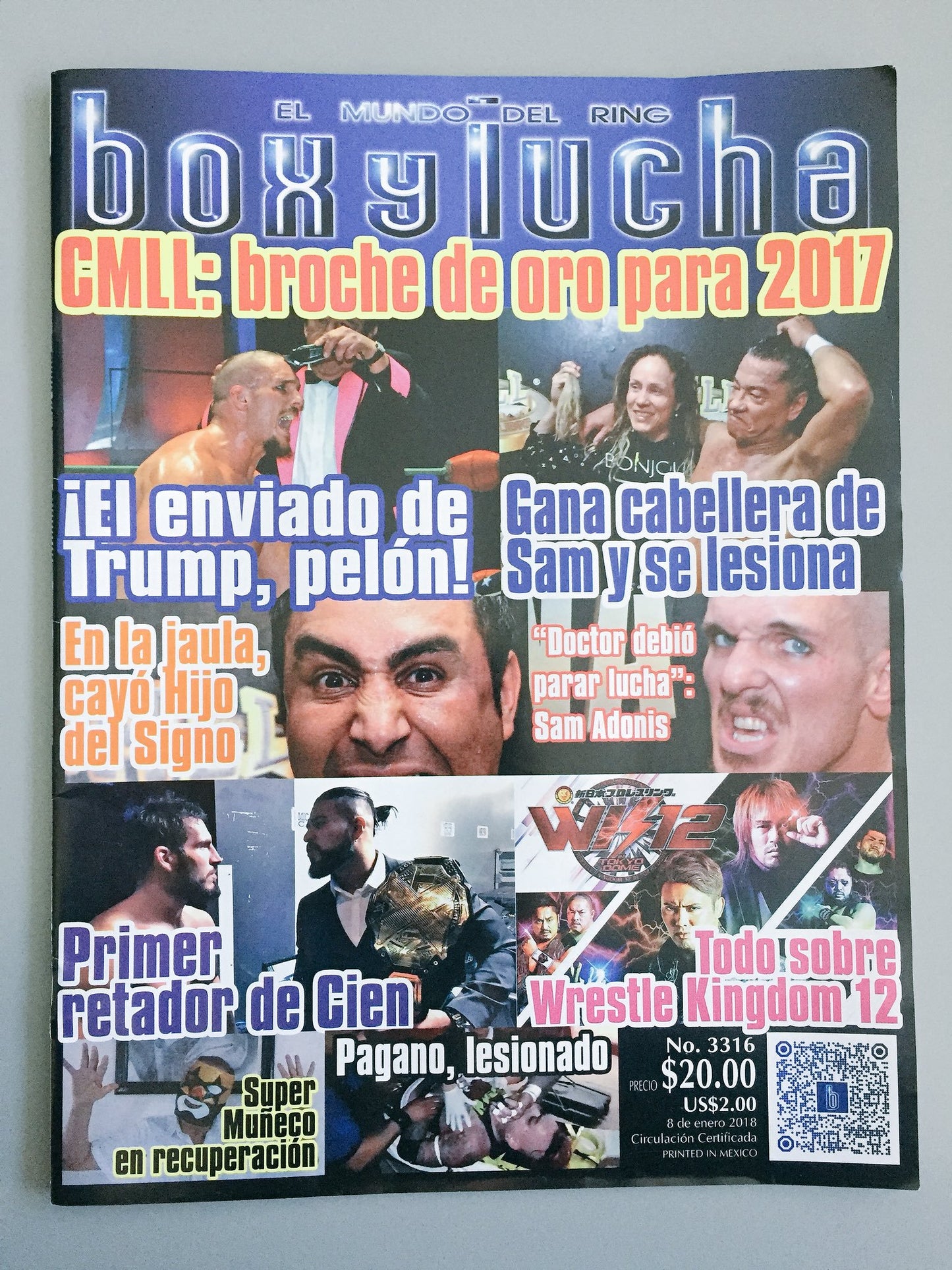 Box Y Lucha Volume 3316 Magazine PWcatalog
