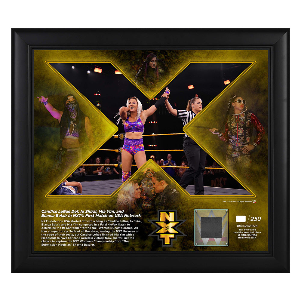 Candice LeRae USA Network Debut Commemorative Plaque w Ring Canvas Pwcatalog