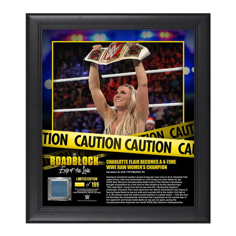 Charlotte RoadBlock 2016 15 x 17 Framed Plaque w Ring Canvas Pwcatalog