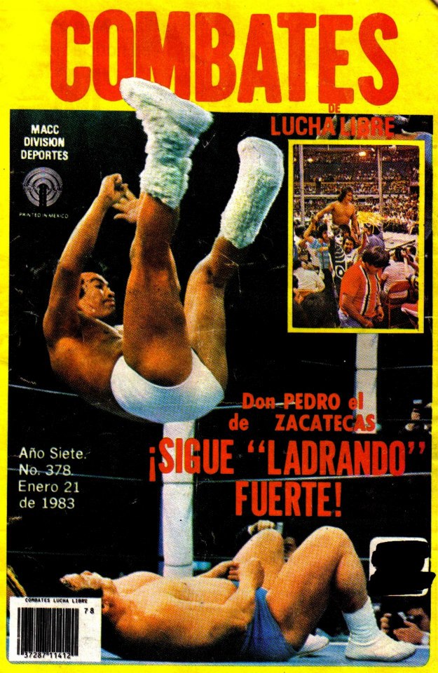Combates de Lucha Libre 378 Magazine PWcatalog
