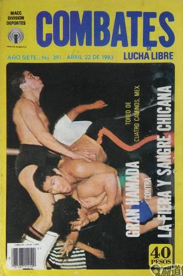 Combates de Lucha Libre 391 Magazine PWcatalog