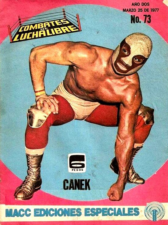 Combates de Lucha Libre 73 Magazine PWcatalog