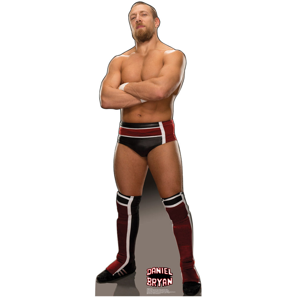 Daniel Bryan Standee Pwcatalog