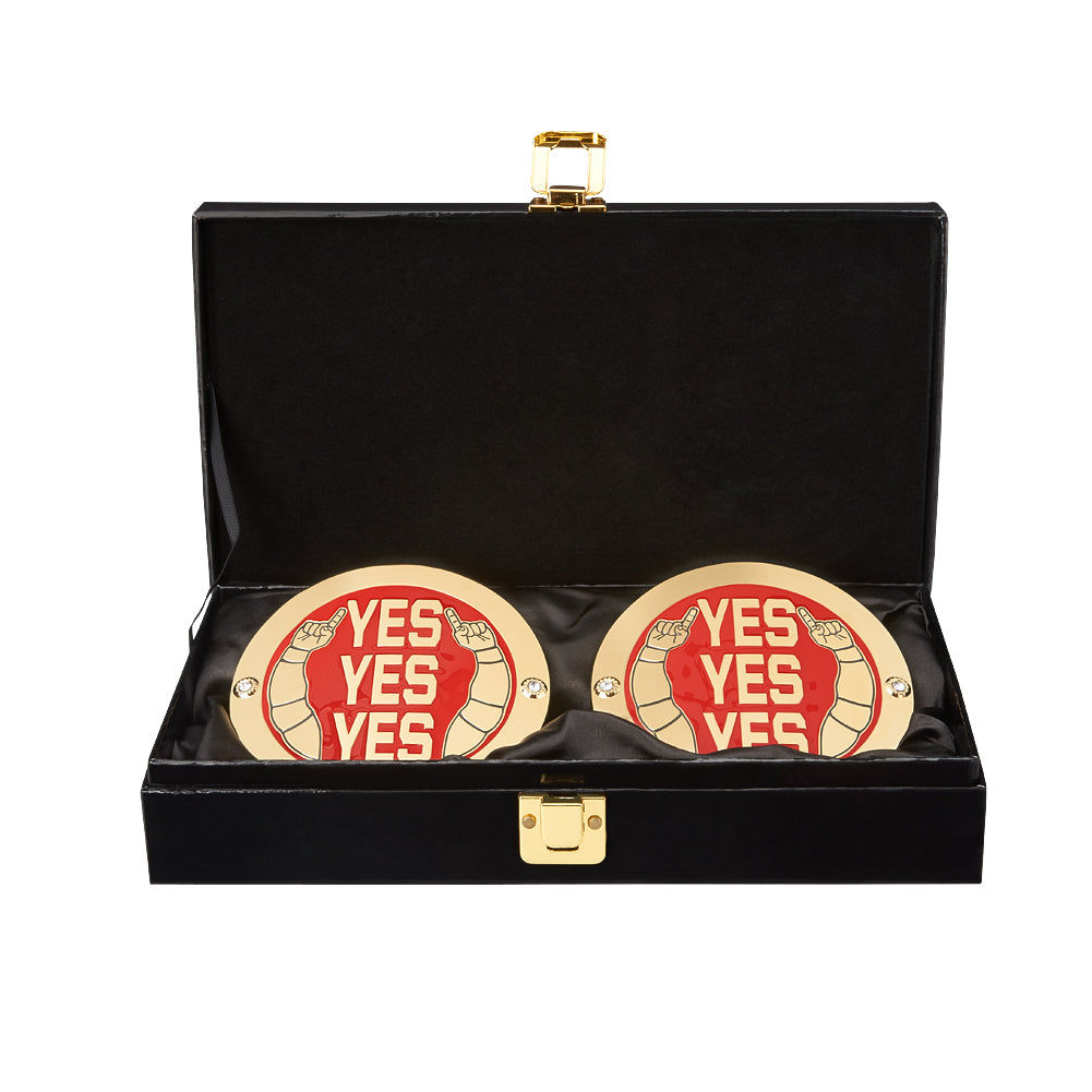 Daniel Bryan WWE World Heavyweight Championship Replica Title Side Plate Box Set Pwcatalog