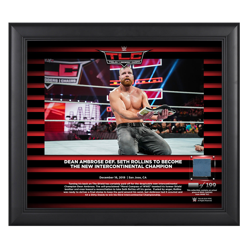 Dean Ambrose TLC 2018 15 x 17 Framed Plaque w Ring Canvas Pwcatalog