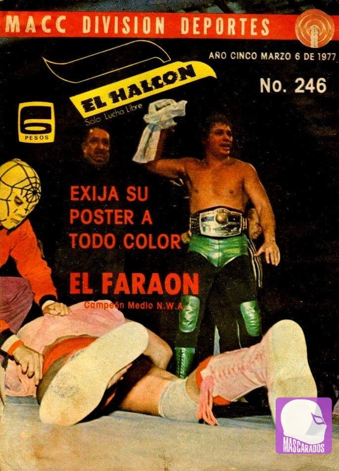 El Halcon 246 Magazine PWcatalog
