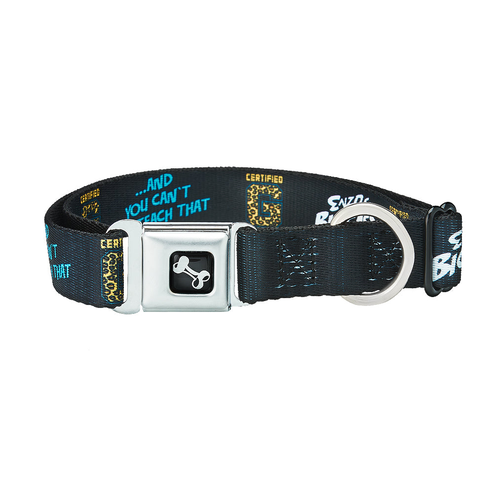 Enzo & Big Cass Certified G Dog Collar Pwcatalog
